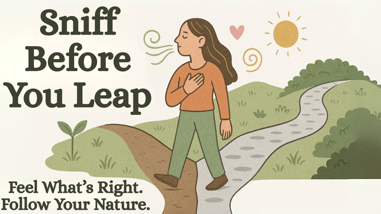 Sniff Before You Leap: Following Your Nature in a World of Noise